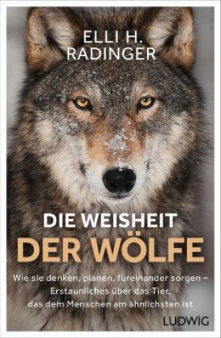 Knjiga Die Weisheit der Wölfe Elli H. Radinger