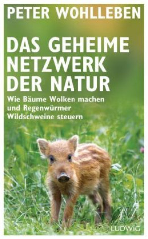 Knjiga Das geheime Netzwerk der Natur Peter Wohlleben