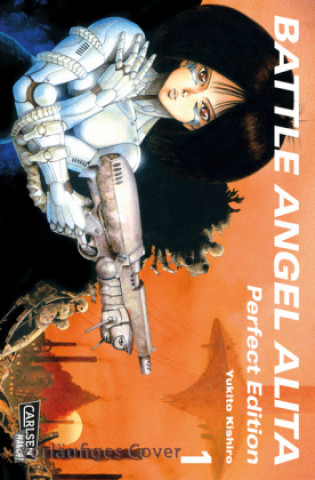 Kniha Battle Angel Alita - Perfect Edition 1 Yukito Kishiro