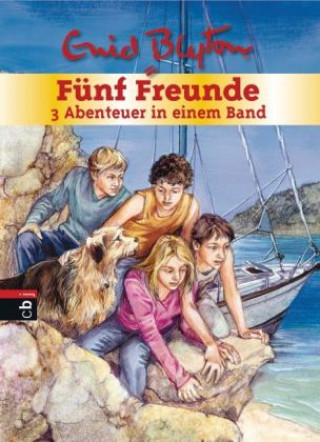 Könyv Fünf Freunde - 3 Abenteuer in einem Band Enid Blyton