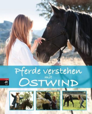 Könyv Pferde verstehen mit Ostwind Almut Schmidt