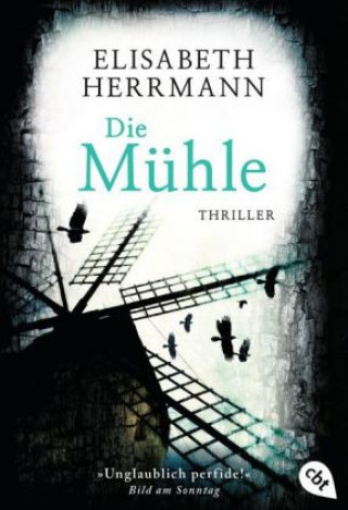 Kniha Die Mühle Elisabeth Herrmann