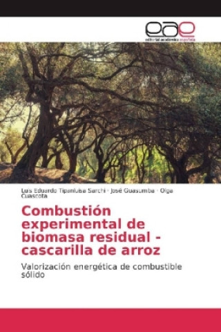 Könyv Combustión experimental de biomasa residual - cascarilla de arroz Luis Eduardo Tipanluisa Sarchi