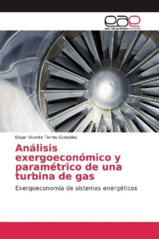 Książka Análisis exergoeconómico y paramétrico de una turbina de gas Edgar Vicente Torres González