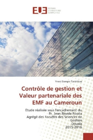 Kniha Contrôle de gestion et Valeur partenariale des EMF au Cameroun Ynest Dompie Tatsinkou