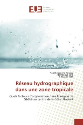 Könyv Réseau hydrographique dans une zone tropicale Yao Dieudonné Kouassi