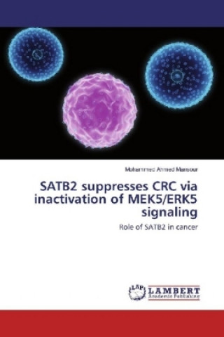 Carte SATB2 suppresses CRC via inactivation of MEK5/ERK5 signaling Mohammed Ahmed Mansour