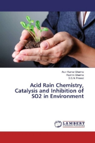 Könyv Acid Rain Chemistry, Catalysis and Inhibition of SO2 in Environment Arun Kumar Sharma