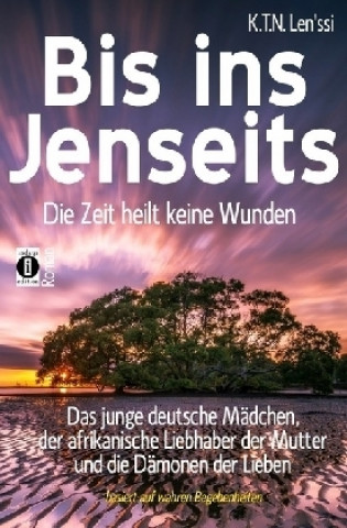 Book Bis ins Jenseits - die Zeit heilt keine Wunden 