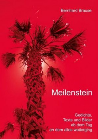 Könyv Meilenstein Bernhard Brause