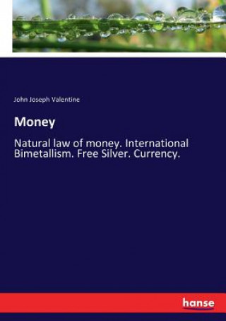 Libro Money John Joseph Valentine