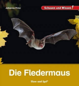 Buch Die Fledermaus Johanna Prinz