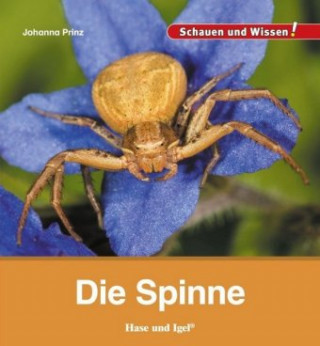 Carte Die Spinne Johanna Prinz