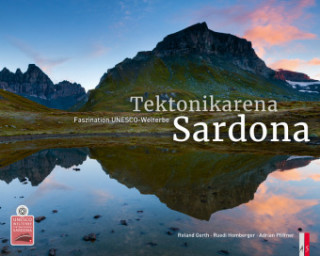 Carte Tektonikarena Sardona Adrian Pfiffner