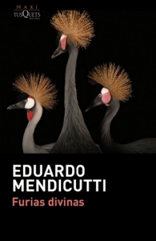 Книга Furias divinas EDUARDO MENDICUTTI