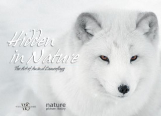 Knjiga Hidden in Nature: Art of  Animal Camouflage Anna Levin