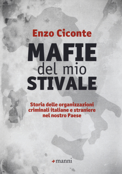 Kniha Mafie del mio stivale. Storia delle organizzazioni criminali italiane e straniere nel nostro Paese Enzo Ciconte