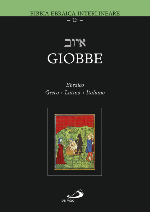 Libro Giobbe M. Zappella