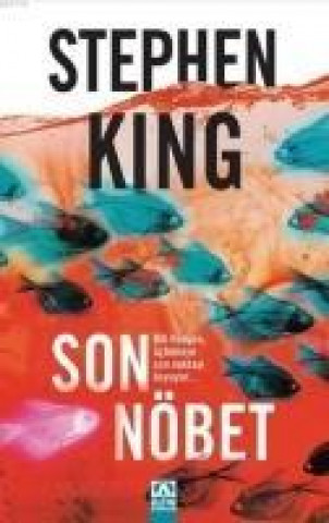 Knjiga Son Nöbet Stephen King