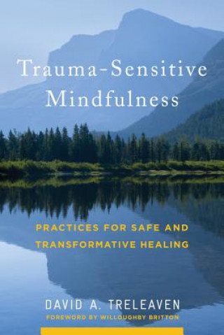 Könyv Trauma-Sensitive Mindfulness David A. Treleaven
