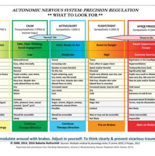 Printed items Autonomic Nervous System Table: Wall Poster Babette Rothschild