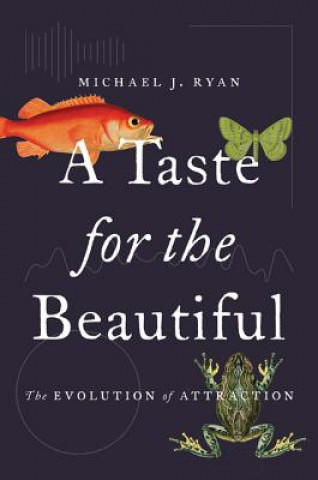 Kniha Taste for the Beautiful Michael J. Ryan
