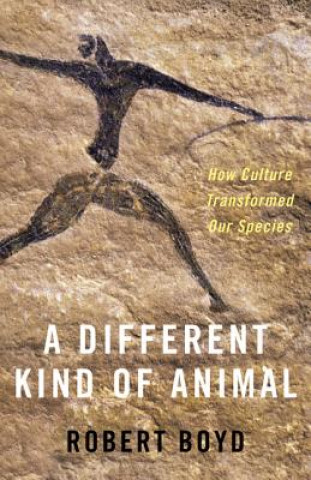 Kniha Different Kind of Animal Robert Boyd
