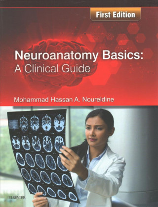 Kniha Neuroanatomy Basics: A Clinical Guide Mohammad Noureldine