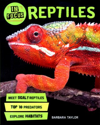 Könyv In Focus: Reptiles Barbara Taylor