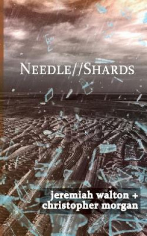 Книга Needle // Shards JEREMIAH WALTON