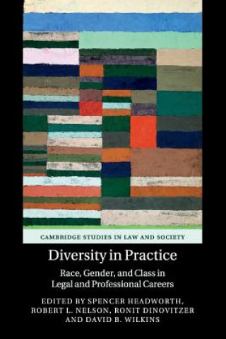 Buch Diversity in Practice Spencer Headworth