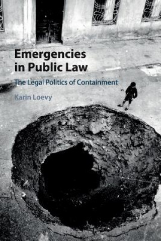 Kniha Emergencies in Public Law Karin Loevy