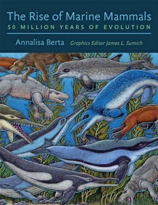 Kniha Rise of Marine Mammals Annalisa Berta