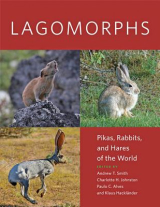 Kniha Lagomorphs Andrew T Smith