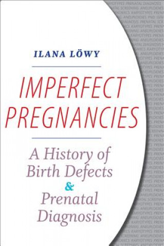 Книга Imperfect Pregnancies Ilana Lowy