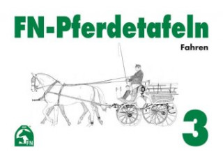 Igra/Igrača FN-Pferdetafeln Set 3 Deutsche Reiterliche Vereinigung e.V. (FN)