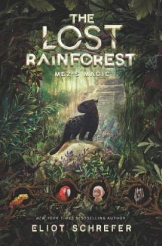 Könyv Lost Rainforest #1: Mez's Magic Eliot Schrefer