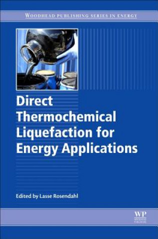 Kniha Direct Thermochemical Liquefaction for Energy Applications Lasse Rosendahl