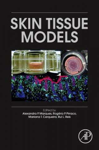 Kniha Skin Tissue Models Alexandra P. Marques