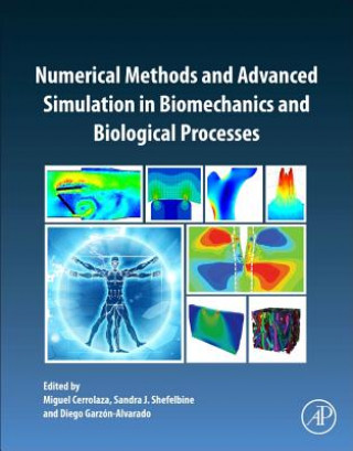 Knjiga Numerical Methods and Advanced Simulation in Biomechanics and Biological Processes Miguel Cerrolaza
