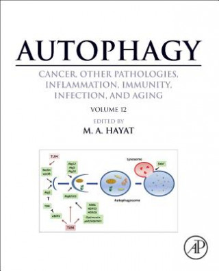 Carte Autophagy: Cancer, Other Pathologies, Inflammation, Immunity, Infection, and Aging M. A. Hayat