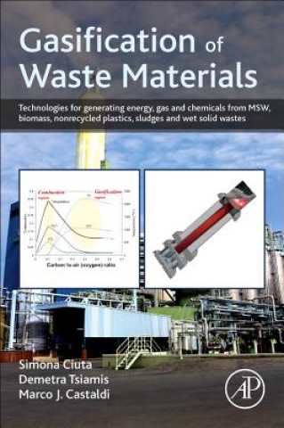 Βιβλίο Gasification of Waste Materials Simona Ciuta