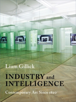 Kniha Industry and Intelligence Liam Gillick