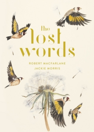 Книга Lost Words Robert Macfarlane