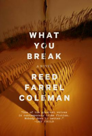 Knjiga What You Break Reed Farrel Coleman