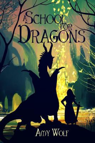 Boek School for Dragons AMY H WOLF