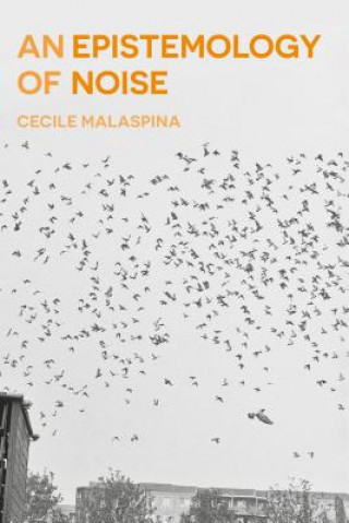 Könyv Epistemology of Noise Cecile Malaspina