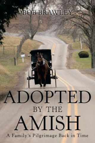 Książka Adopted by the Amish Bob Brawley