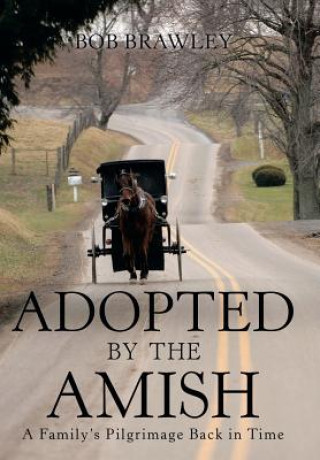 Книга Adopted by the Amish Bob Brawley