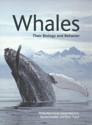 Książka Whales Phillip Hammond